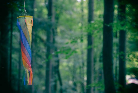 Rückblick Waldkinderfest 2019