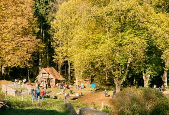 Rückblick Waldkinderfest 2021